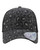 Black Leopard Black Leopard