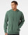 Pigment Alpine Green Pigment Alpine Green