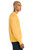 Ochre Yellow Ochre Yellow