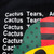 DT Hoodie