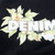 DT Hoodie