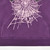 SPYDER Hoodie