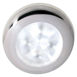 Rakino Downlighters