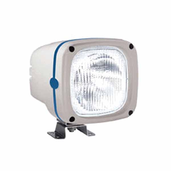 Gas Discharge (HID) Floodlight D2 S Xenon Bulb 24V