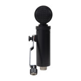 Lauten Audio - LS-308 Microphone - Side-Address Large Diaphragm Condenser Microphone