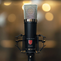 Lauten Audio LA-220 V2 Large-diaphragm Condenser Microphone