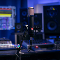 Lauten Audio LA-320 V2 Large-diaphragm Tube Condenser Microphone