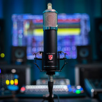 Lauten Audio LA-320 V2 Large-diaphragm Tube Condenser Microphone