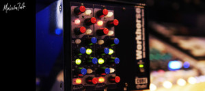Malcolm Toft PUNISHR 500 Series Analog Harmonic Distortion Module (Pair)