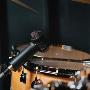 Lauten Audio - LS-308 Microphone - Side-Address Large Diaphragm Condenser Microphone