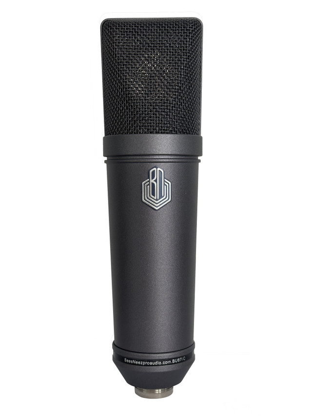 The BeesNeez BN251 - Classic Series Microphone