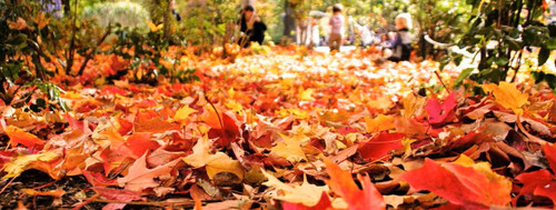 Only let the good things in this winter with our top 3 outdoor security tips