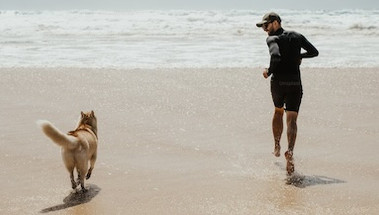 10 Reasons Why Dogs Make the Best Pets 10 Reasons Why Dogs Make the Best Pets