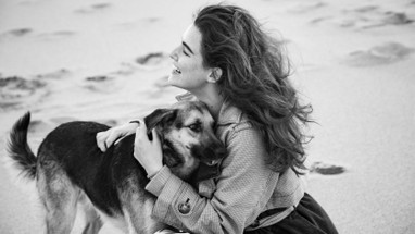 5 Reasons Why Dogs Are Better Than People 5 Reasons Why Dogs Are Better Than People