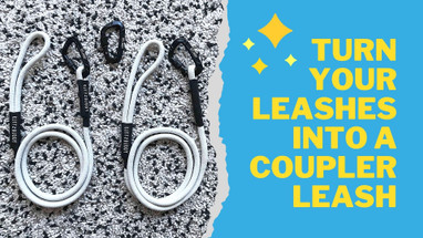 Turn Your Leashes Into A Coupler Leash