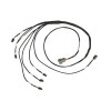Haltech 8 Channel Individual High Output IGN-1A Inductive Coil to GM LS V8 Adaptor Sub-Harness - HT-130338 User 1