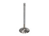 Manley 90-95 Toyota MR2 2.0L DOHC 16 Valve (Turbo 3SGTE) 33.5mm Stainless Race Flo Intake Valves - 11116-8 User 2