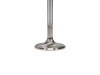 Manley Toyota Land Cruiser 4.5L (1FZ-FE) 38MM Race Flo Intake Valves - 11166-12 User 3