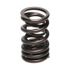 Manley Mitsubishi (4G63-4G63T DOHC 16 Valve) 16pc Valve Springs (1.160/.870) - 22115-16 User 1