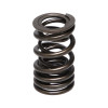 Manley Honda (F20C F22C) 16pc Valve Springs - 22150-16 User 1