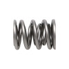 Manley Nissan (KA24DE) 16pc Valve Springs - 22160-16 User 2