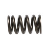 Manley Nissan (SR20DE SR20DET) 16pc Valve Springs - 22165-16 User 2