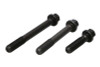 Manley SB Chevy Superior Head Bolts - 1 Set of Bolts for 1 Head - 42171 Photo - out of package