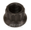ARP 9/16-12in 12pt Black Nut Kit - 301-8307 Photo - Primary