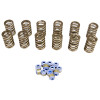 COMP Cams 88-06 Jeep 4.0L .450in Lift Valve Springs Kit - 983J-KIT Photo - Mounted