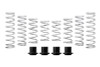 Eibach Pro-UTV 2023 Polaris RZR PRO XP 4 Sport/Premium Stage 3 Performance Springs - E85-209-033-03-22 Photo - Primary