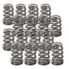 Supertech 02-07 Mini Cooper R53 1.6L Beehive Valve Springs - Set of 16 - SPR-HM1007BE-16 User 1