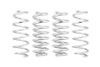 Eibach 19-23 Chevrolet BLAZER Pro-Lift-Kit Springs (Front & Rear Springs) - E30-23-039-01-22 Photo - Primary