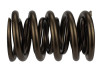 Ford Racing  Replacement Hydraulic Roller Valve Spring - Single (For M-6049-SCJA) - M-6513-17341 Photo - Unmounted