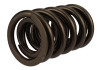Ford Racing  Replacement Hydraulic Roller Valve Spring - Single (For M-6049-SCJA) - M-6513-17341 Photo - Unmounted