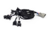 Haltech NEXUS Rebel LS EV1 Injector Sub-Harness (Plug-n-Play w/HT-186500) - HT-186501 User 1