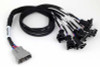 Haltech NEXUS V8 Junior Timer (EV1) Injector Primary Breakout (Plug and Play w/HT-186200) - HT-186000 User 1
