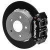 Wilwood 22-23 Polaris RZR Turbo Dynapro 4R Rear Brake Kit w/ 11.25in Rotors - Black - 140-17735 Photo - Primary