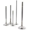 Ferrea 84-04 Harley-Davidson Evolution 1.615in Head 0.31in Stem Dia Comp Exhaust Valve - Set of 2 - F0275 User 1