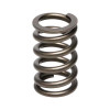Manley Valve Spring, SPRING-NISSAN PATROL TB48 - 22155-24 User 1