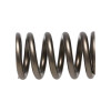 Manley Valve Spring, SPRING-NISSAN PATROL TB48 - 22155-24 User 2