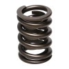 Manley Valve Spring, SPRING-1.550 SINGLE - 22406-16 User 1