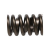 Manley Valve Spring, SPRING-1.250 SINGLE - 22409-16 User 2