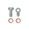 Wilwood Caliper Inlet Fitting 10mm-1.50 Banjo Bolt-3 for D154 Caliper - 220-17774 Photo - Primary