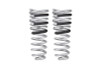 Eibach 4th Gen RAM 2500 Pro Lift Kit HD Rear Springs - E30-27-006-03-02 Photo - Primary