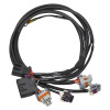 Edelbrock Chevy LS 58x Crank/Cam Pro-Flo 4+ EFI Ignition & Engine Position Harness - 36122 Photo - Primary