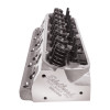 Edelbrock Small Block Ford Performer RPM 205 CC Cylinder Head - 62055 Photo - Close Up