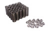 Comp Cams Valve Spring & Ti Retainer Kit , Zex - 89012-KIT Photo - Primary