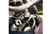 Eibach ERS 16in L x 3.50in OD Platinum Rear Spring - 100 lbs/in - P1600.350.0100 Illustration Guide