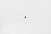 Wilwood bolt 10-32X.19 LG (3/16) set screw cup point black - 230-5046 Photo - Primary