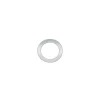 Wilwood washer .510 IDX.680 ODX.031 +/-.005 nylon white - 240-5047 Photo - Primary